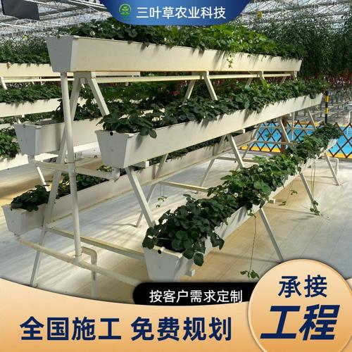 立体无土栽培 开启草莓与蔬菜种植的现代化新篇章