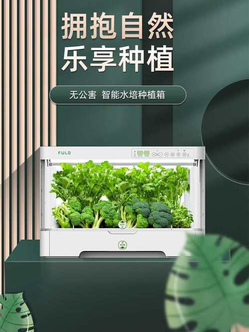 水培种植机 开启家庭室内蔬菜种植的新时代